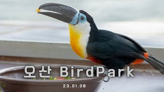 230108 오산 버드파크에 다녀왔다