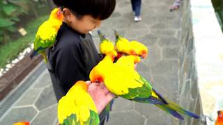 오월드 버드랜드