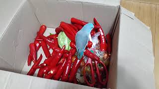 (유리앵무사육기-4)고추를 좋아하는 로쉬