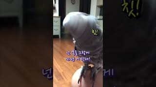 말싸움에서 지지않는 #김유정네앵무새 #김루이 #추출본영…