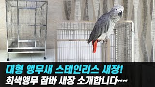 대형 앵무새 스텐 새장 추천, 회색앵무 잠바 새장 소개…