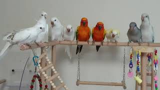 똥쟁이들I왜모여있는데?