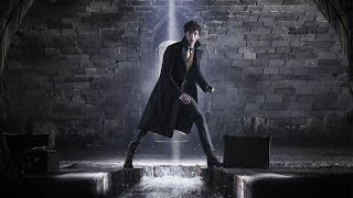 돌아온 뉴트 스캐맨더, 신비한 동물사전 2 예고편 정리