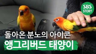 [연말결산] 다시 돌아온 분노의 아이콘, ‘태양이’ A/S 대작전…